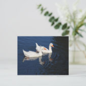 Zwei Emden Ges Postkarte (Stehend Vorderseite)