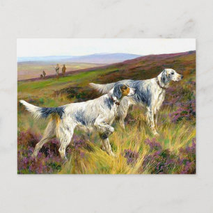 Zwei englische Setter auf einem Feld - Arthur Ward Postkarte