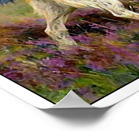 Zwei englische Setter in einem Feld - Arthur Wardl Poster (Ecke)