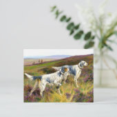 Zwei englische Setter in einem Feld - Arthur Wardl Postkarte (Stehend Vorderseite)