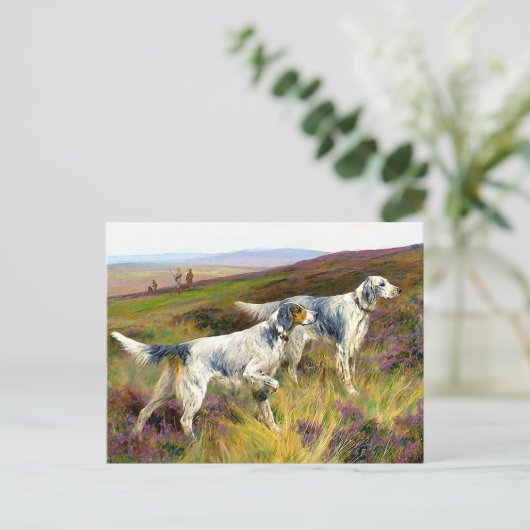 Zwei englische Setter in einem Feld - Arthur Wardl Postkarte (Stehend Vorderseite)