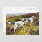 Zwei englische Setter in einem Feld - Arthur Wardl Postkarte (Vorne/Hinten)