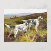 Zwei englische Setter in einem Feld - Arthur Wardl Postkarte (Vorderseite)