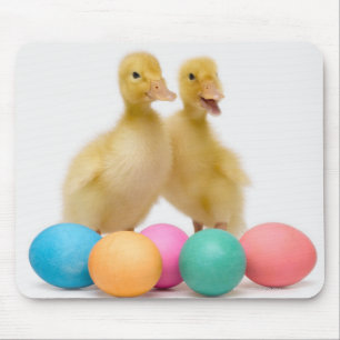 Zwei Enten mit Ostereiern Mousepad