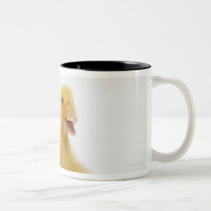 Zwei Enten mit Ostereiern Zweifarbige Tasse