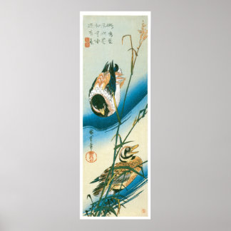 Zwei Enten schwimmen zwischen Schilf Poster