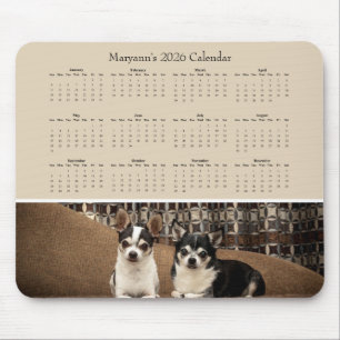 Zwei entzückende Chihuahuas auf einem Sofa – Kalen Mousepad