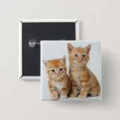 Zwei entzückende Kätzchen Button (Vorne & Hinten)