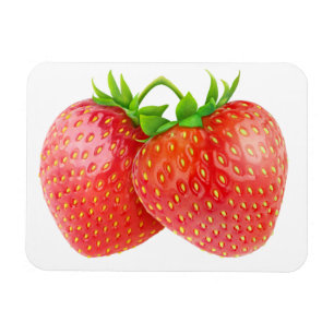 Zwei Erdbeeren Magnet