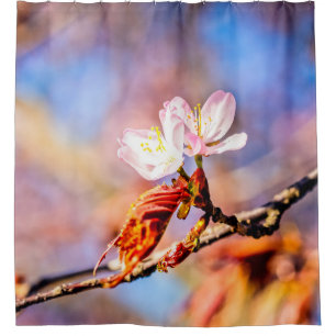 Zwei erstaunliche Sakura-Blüten. Rosa, blauer Hint Duschvorhang