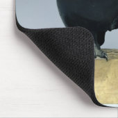 Zwei Eulen, 1903-04 Mousepad (Ecke)