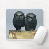 Zwei Eulen, 1903-04 Mousepad (Mit Mouse)