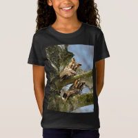 Zwei Eulen im Wald, Vögel, wild lebende Tiere