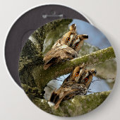 Zwei Eulen im Wald, Vögel, Wildtier Button (Vorne & Hinten)