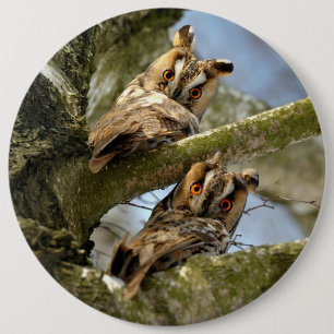 Zwei Eulen im Wald, Vögel, Wildtier Button