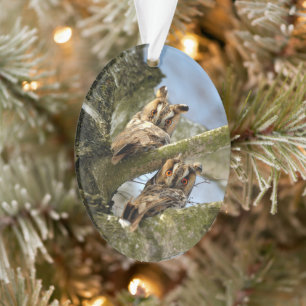 Zwei Eulen im Wald, Vögel, Wildtier Ornamente