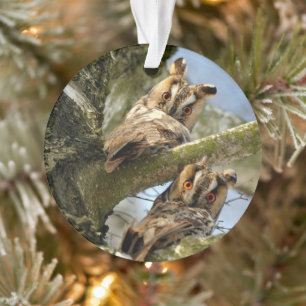 Zwei Eulen im Wald, Vögel, Wildtier Ornamente