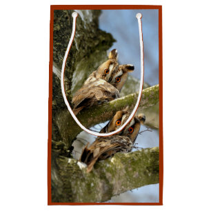 Zwei Eulen im Wald, Vögel, Wildtiere Kleines Gesch Kleine Geschenktüte
