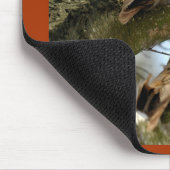 Zwei Eulen im Wald, Vögel, Wildtiere Maus Pad Mousepad (Ecke)