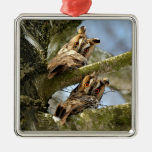 Zwei Eulen im Wald, Vögel, Wildtiere Metallornam Ornament Aus Metall