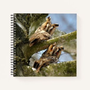 Zwei Eulen im Wald, Vögel, Wildtiere Notizbuch