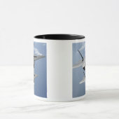 Zwei F-22-Raptoren fliegen über den Pazifik Tasse (Zentrum)