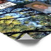 Zwei Familienbaume Pine Trees Foto | Name Poster (Ecke)