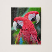 Zwei farbenfrohe Ara Papageien Puzzle (Vertikal)