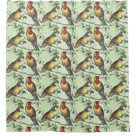 Zwei farbenfrohe Birnen-Licht Duschvorhang (Vorderseite)