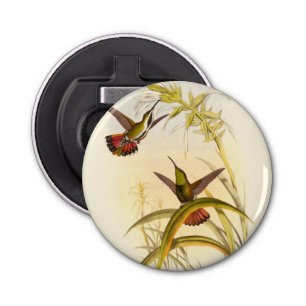 Zwei farbenfrohe Hummingbirds streben nach derselb Flaschenöffner