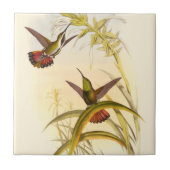 Zwei farbenfrohe Hummingbirds streben nach derselb Fliese (Vorderseite)