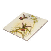 Zwei farbenfrohe Hummingbirds streben nach derselb Fliese (Seite)