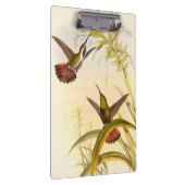 Zwei farbenfrohe Hummingbirds streben nach derselb Klemmbrett (Rechts)