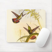 Zwei farbenfrohe Hummingbirds streben nach derselb Mousepad (Mit Mouse)