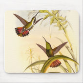 Zwei farbenfrohe Hummingbirds streben nach derselb Mousepad (Vorne)