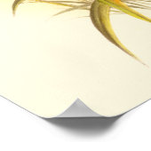 Zwei farbenfrohe Hummingbirds streben nach derselb Poster (Ecke)