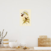 Zwei farbenfrohe Hummingbirds streben nach derselb Poster (Küche)