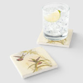 Zwei farbenfrohe Hummingbirds streben nach derselb Steinuntersetzer (Seitenansicht)