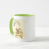 Zwei farbenfrohe Hummingbirds streben nach derselb Tasse (Vorderseite Links)