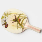 Zwei farbenfrohe Hummingbirds streben nach derselb Tischtennis Schläger (Seitenansicht)