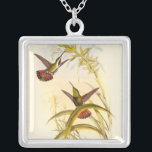 Zwei farbenfrohe Hummingbirds streben nach derselb Versilberte Kette<br><div class="desc">Der Künstler John Gould war leidenschaftlich für Vögel. In diesem farbigen zeichn sind die beiden Kolibris und die Blume wunderschön dargestellt. Die Details dieser farbenfrohen Kunst werden jeden Kunstliebhaber begeistern.</div>