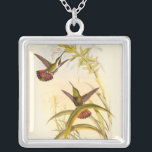 Zwei farbenfrohe Hummingbirds streben nach derselb Versilberte Kette<br><div class="desc">Der Künstler John Gould war leidenschaftlich für Vögel. In diesem farbigen zeichn sind die beiden Kolibris und die Blume wunderschön dargestellt. Die Details dieser farbenfrohen Kunst werden jeden Kunstliebhaber begeistern.</div>