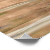 Zwei farbenfrohe männliche Holzenten schwimmen auf Poster (Ecke)