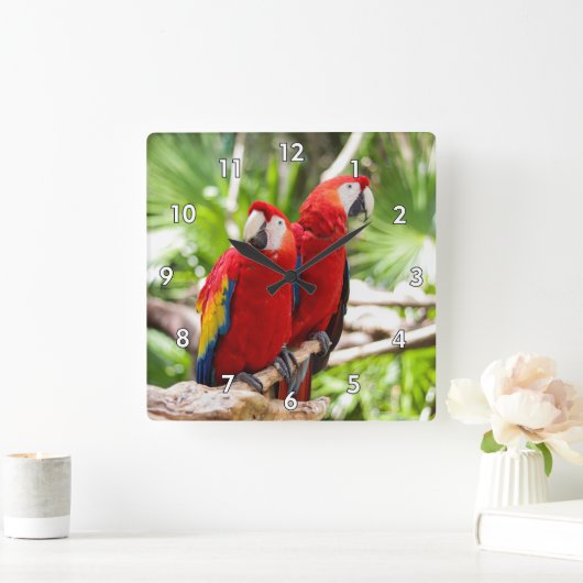 Zwei farbenfrohe Papageien auf einem Baumzweig Quadratische Wanduhr (Zuhause)