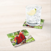 Zwei farbenfrohe Papageien auf einem Baumzweig Rechteckiger Pappuntersetzer (Vor Ort)