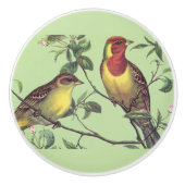 Zwei farbenfrohe Vögel Keramikknauf (Vorderseite)