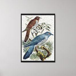 Zwei farbige Kuckucksumpfe in Texturierten Leinwan Leinwanddruck