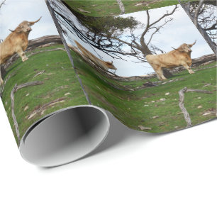 Zwei Fawn Highland Kühe in Friedlichen Landgebiete Geschenkpapier