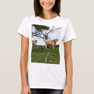 Zwei Fawn Highland Kühe in Friedlichen Landgebiete T-Shirt