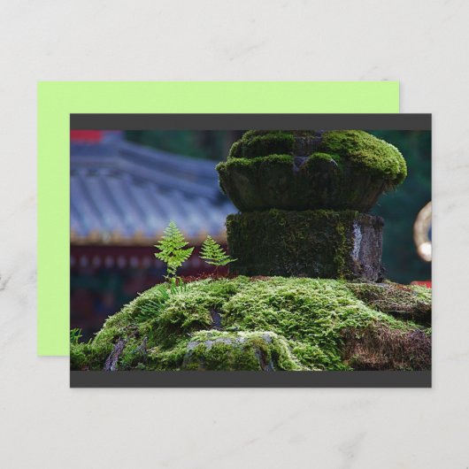 Zwei Fern Postkarte (Vorne/Hinten)